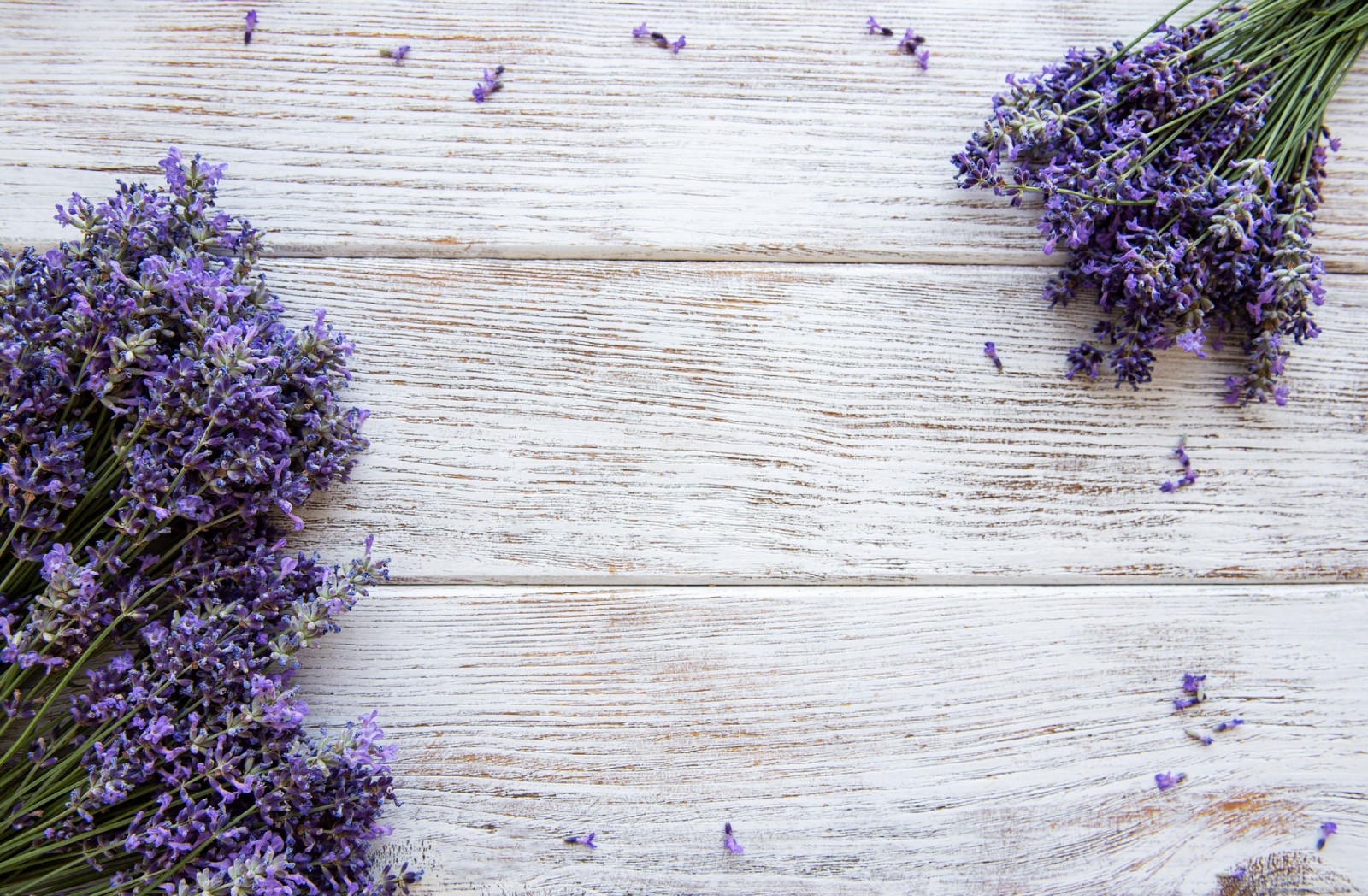 5 Tips for Better Wellness