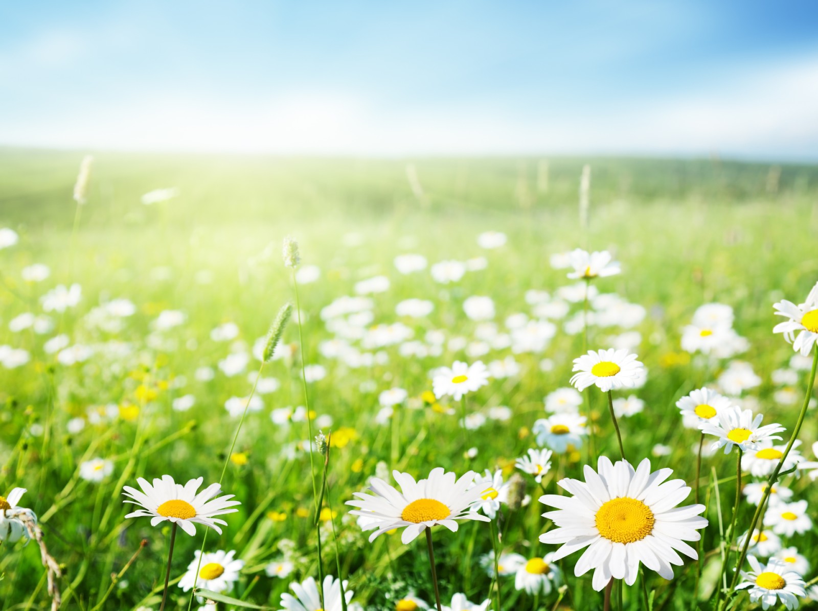 Why Naturopathy is Awesome